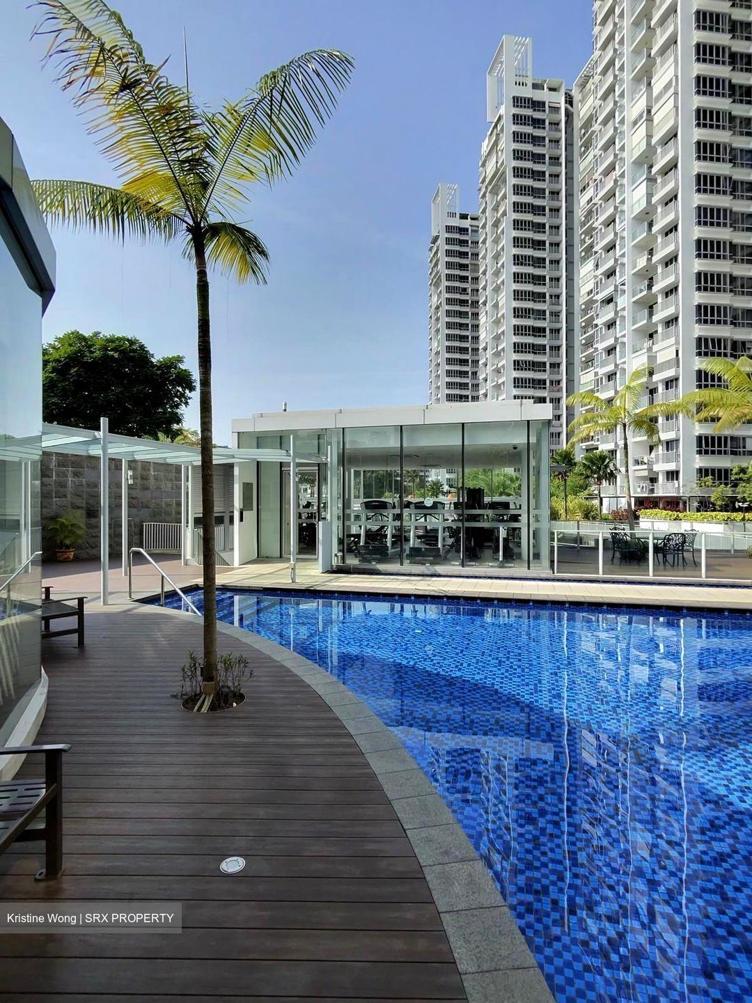 The Parc Condominium (D5), Condominium #520594511